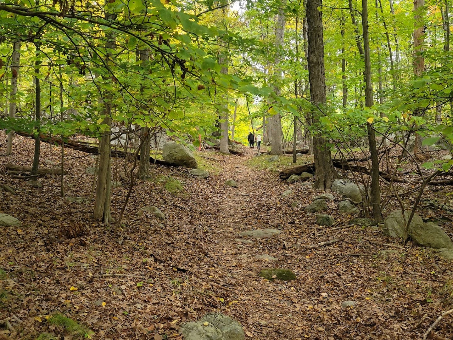 Hudson Farm Club - Image 8