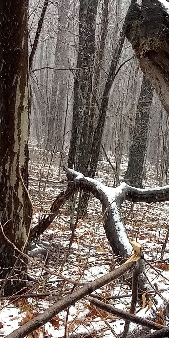 Altoona Sportsmen's Club - Image 2
