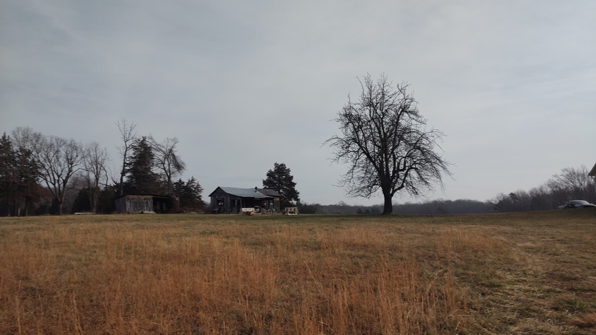 Forest Green Shooting Preserve - Image 9