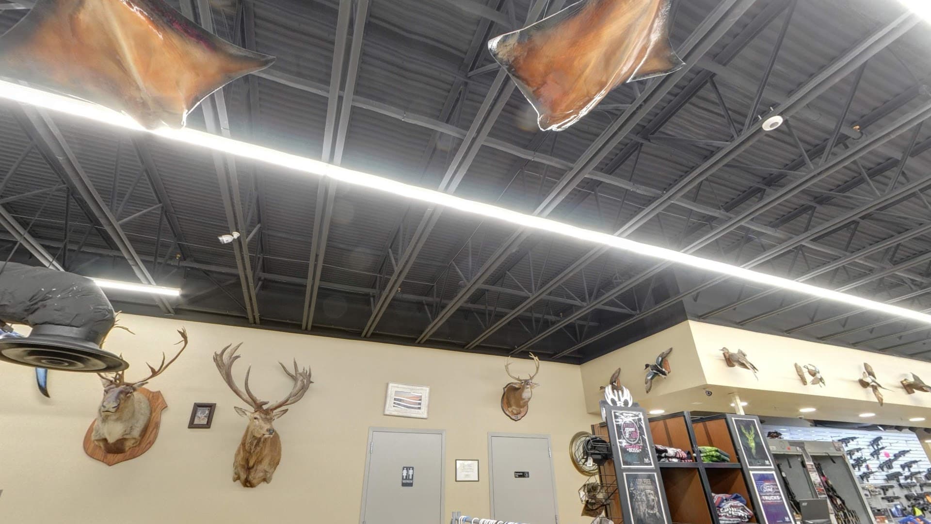 Fred's Outdoors - Image 3