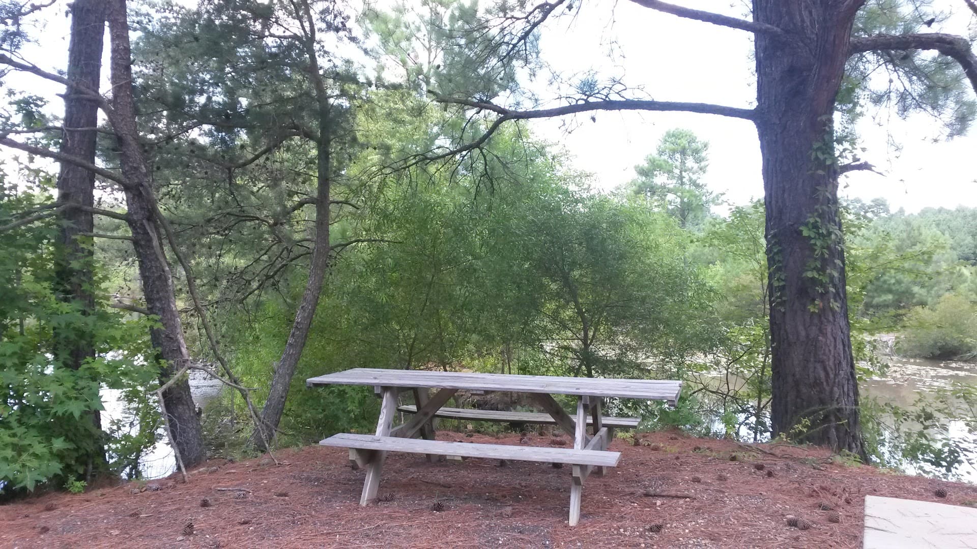 SANNER'S LAKE SPORTSMEN'S CLUB - Image 3