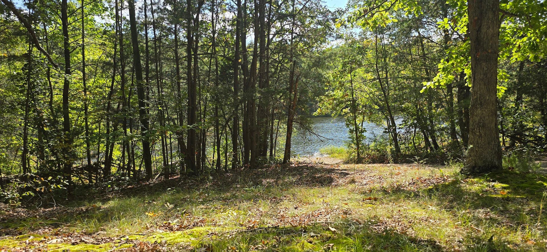 Boyle County Fish and Game Club - Image 6
