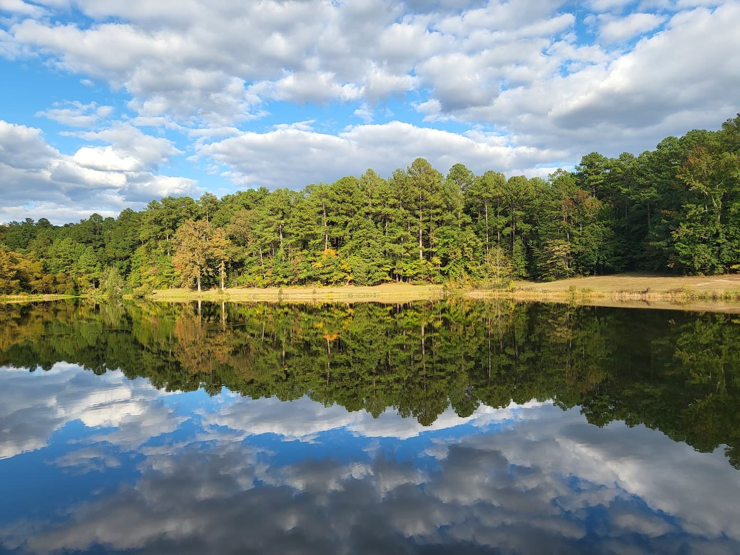 Durham County Wildlife Club - Image 4