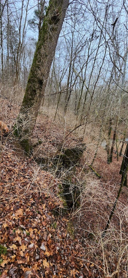 Crosley Fish & WIldlife Area Shooting Range - Image 9