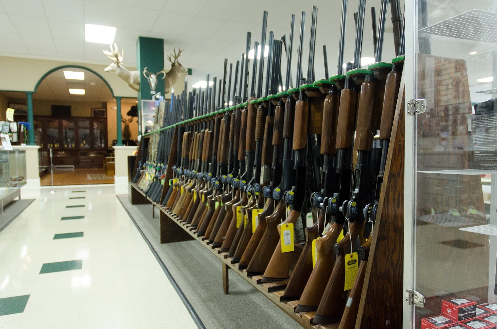 Carolina Sporting Arms - Image 7