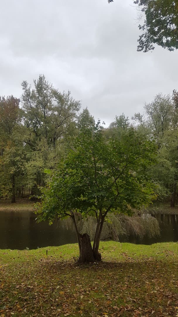 Fulton County Conservation Club - Image 3