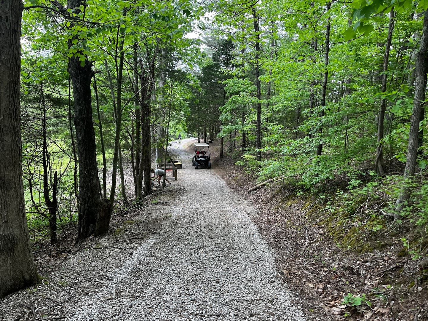 Pine Grove Sporting Clays - Image 9
