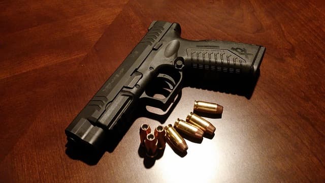 Shooter's Guns, Ammo and Range - Image 9