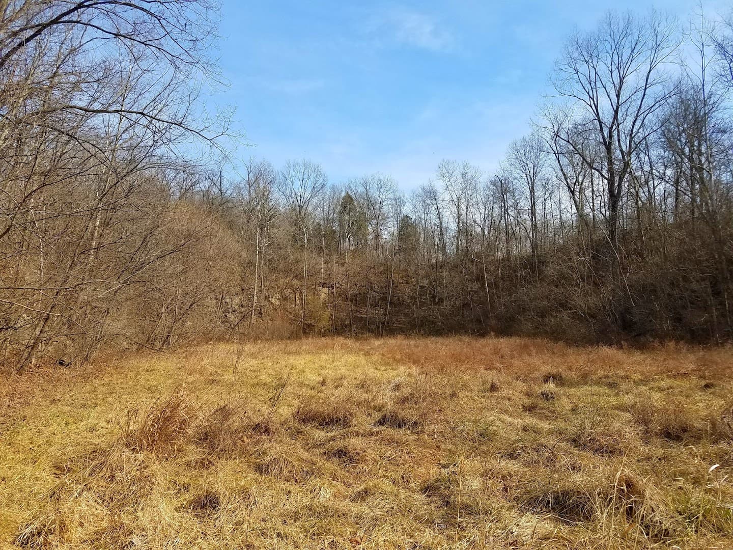 Weldon Spring Conservation Area - Image 3