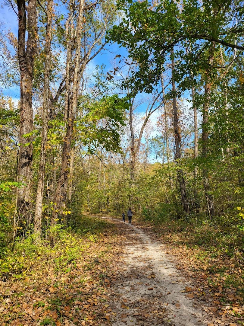Weldon Spring Conservation Area - Image 5
