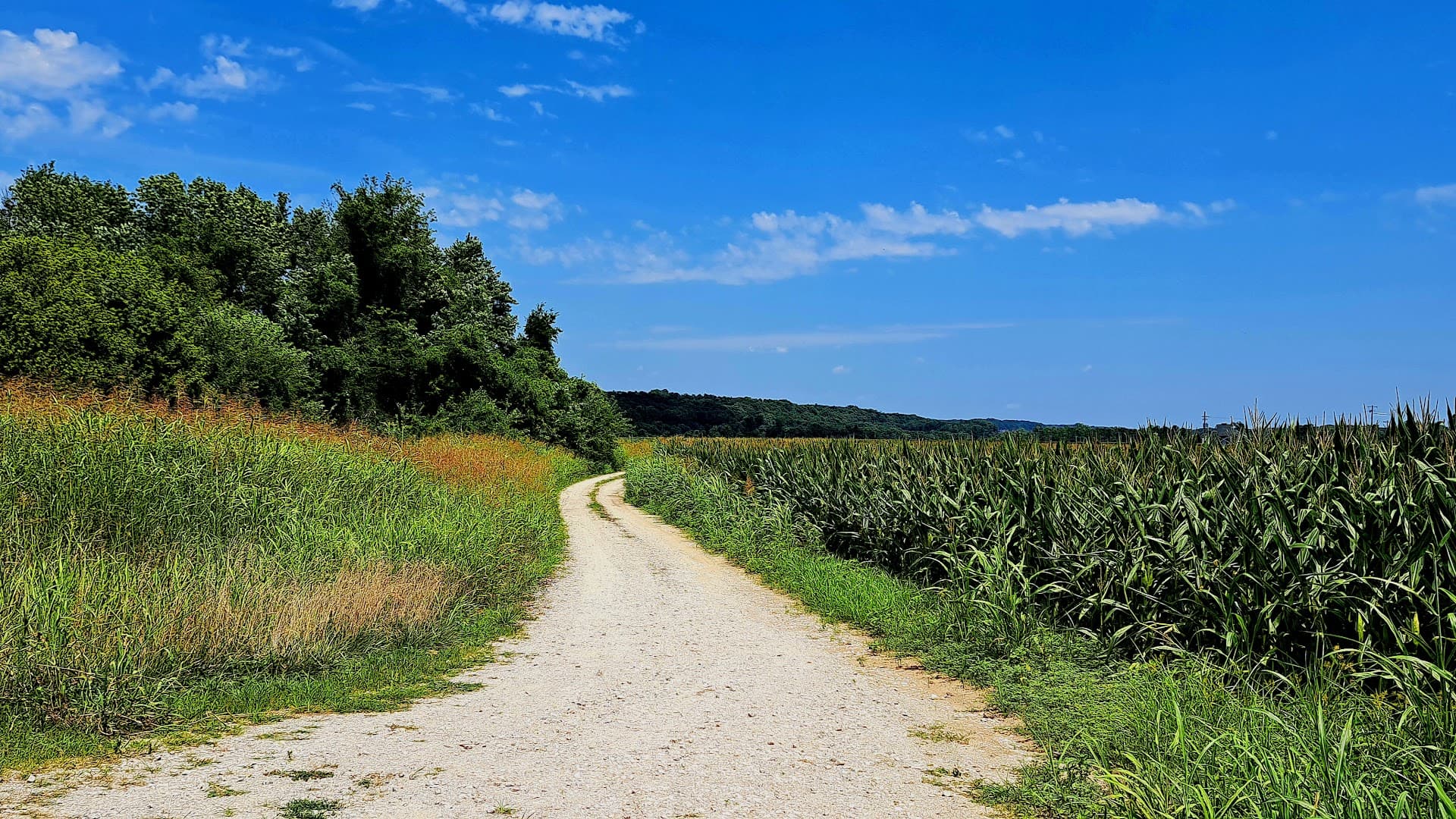 Weldon Spring Conservation Area - Image 10