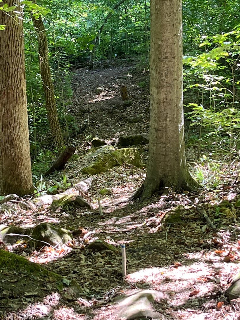 Caldwell County Sportsman Club (Jones-Keeney WMA Gun Range) - Image 2