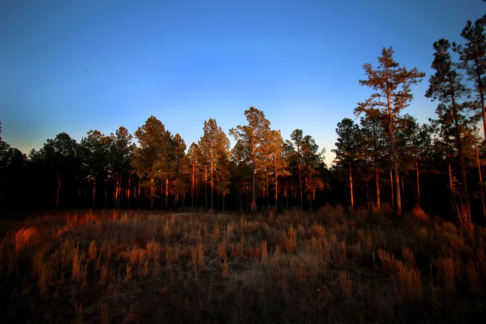 Old Hudson Plantation - Image 3