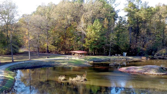 Deep River Sporting Clays and Shooting School - Image 9
