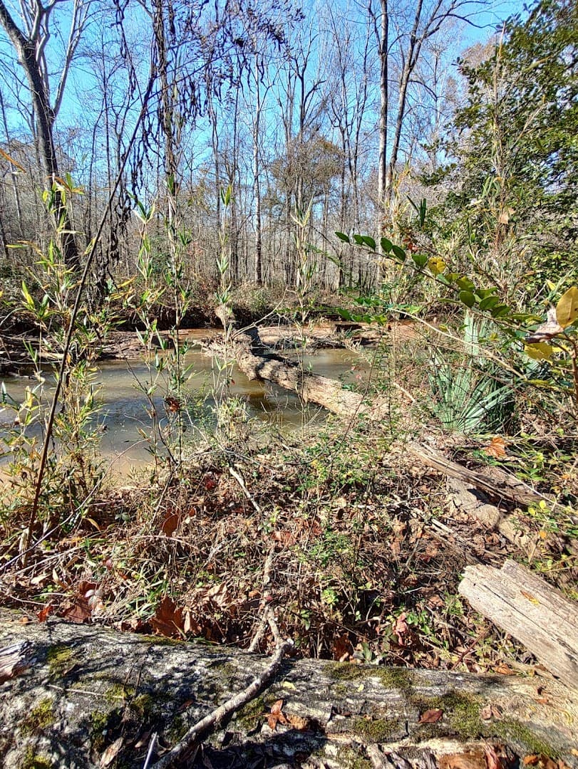 Hannahatchee Creek WMA Shooting Range - Image 3