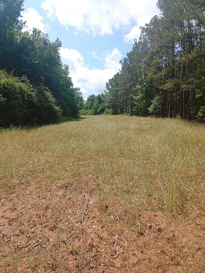 Hannahatchee Creek WMA Shooting Range - Image 4