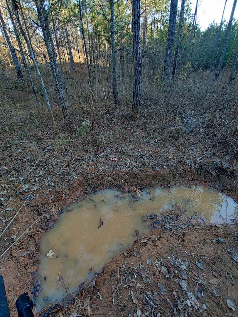 Hannahatchee Creek WMA Shooting Range - Image 5