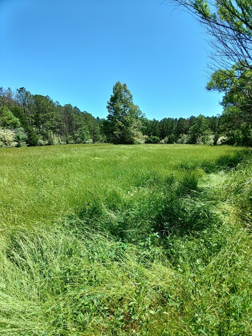 Hannahatchee Creek WMA Shooting Range - Image 8