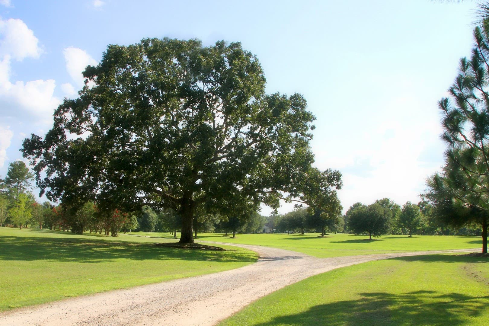 Auburn Oaks Farm - Image 10