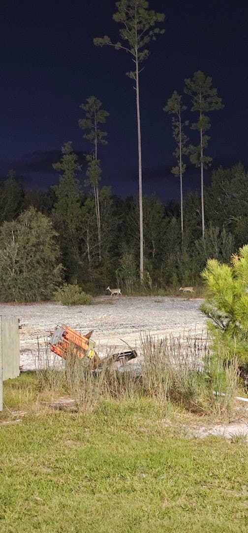 Southwind Sporting Clays - Image 7