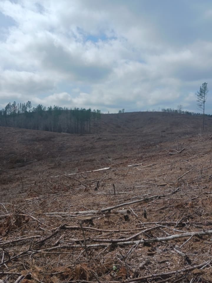 Fop Range - Image 5