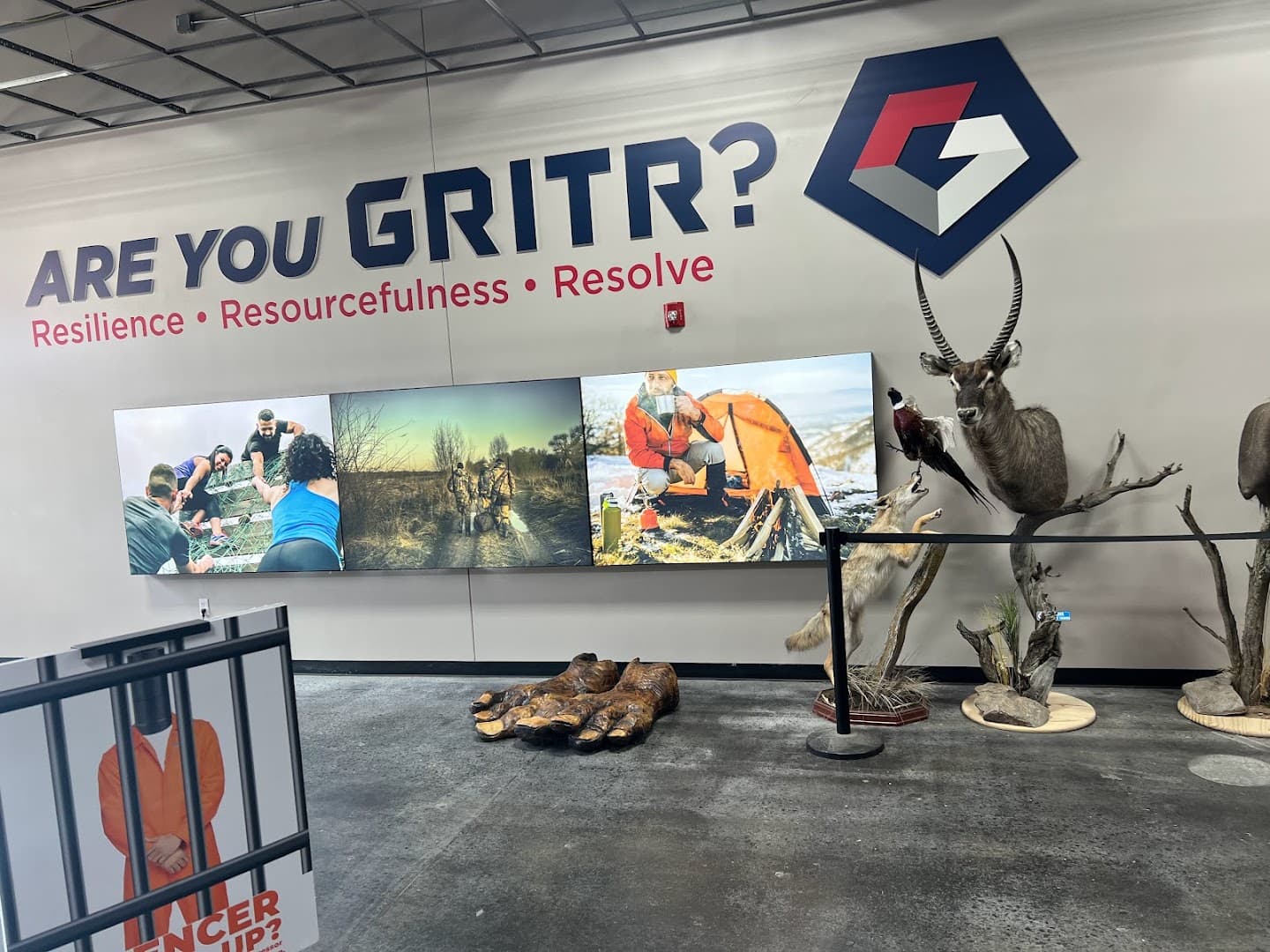 Gritr Range - Image 10