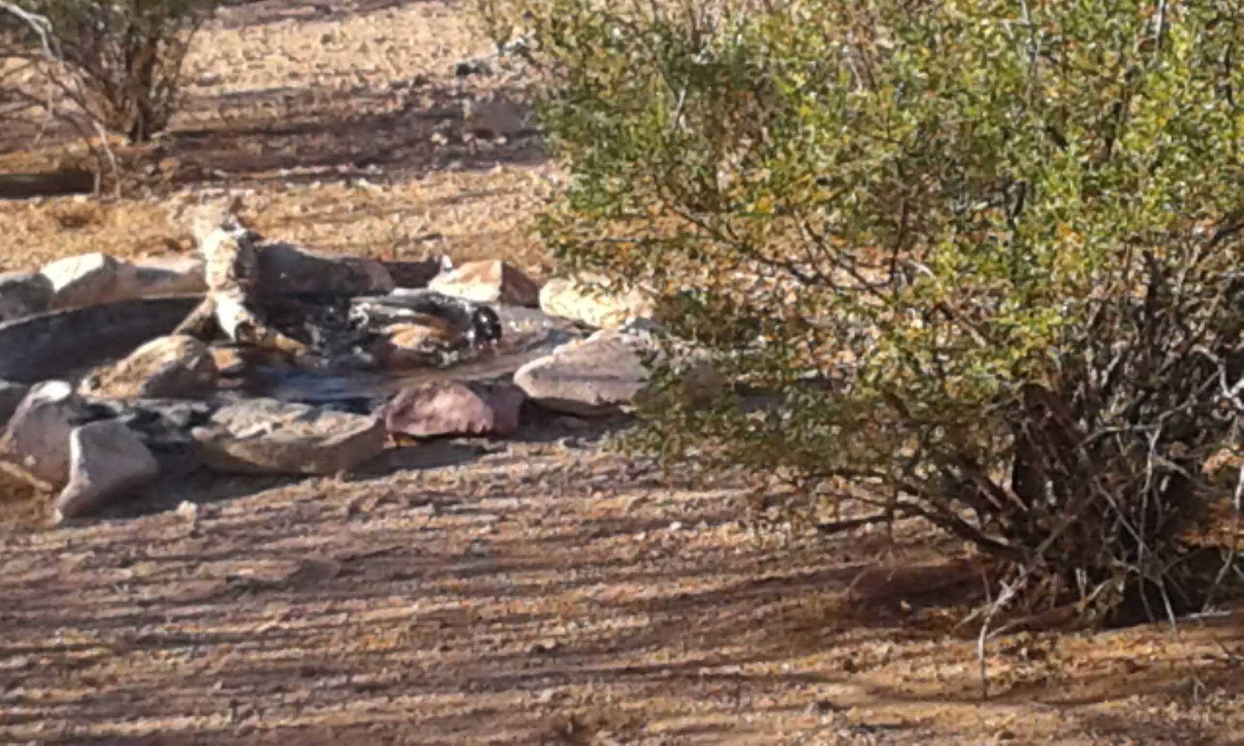Southeast Regional Park Shooting Range - Image 6