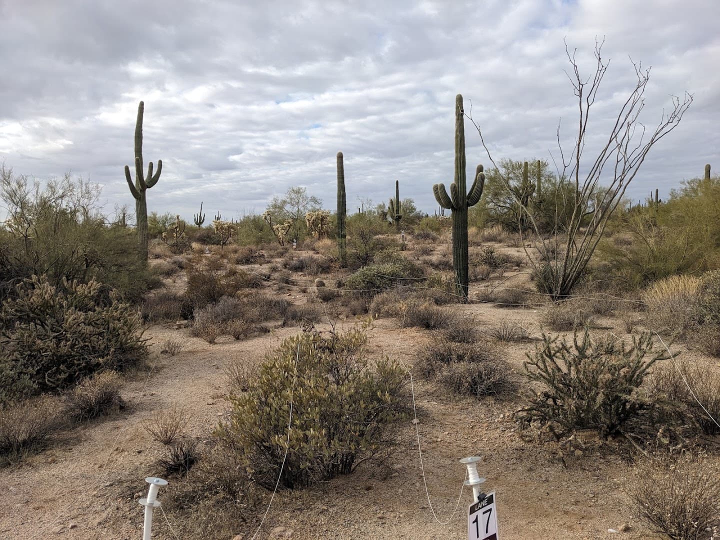 Rio Salado Sportsman's Club - Image 9
