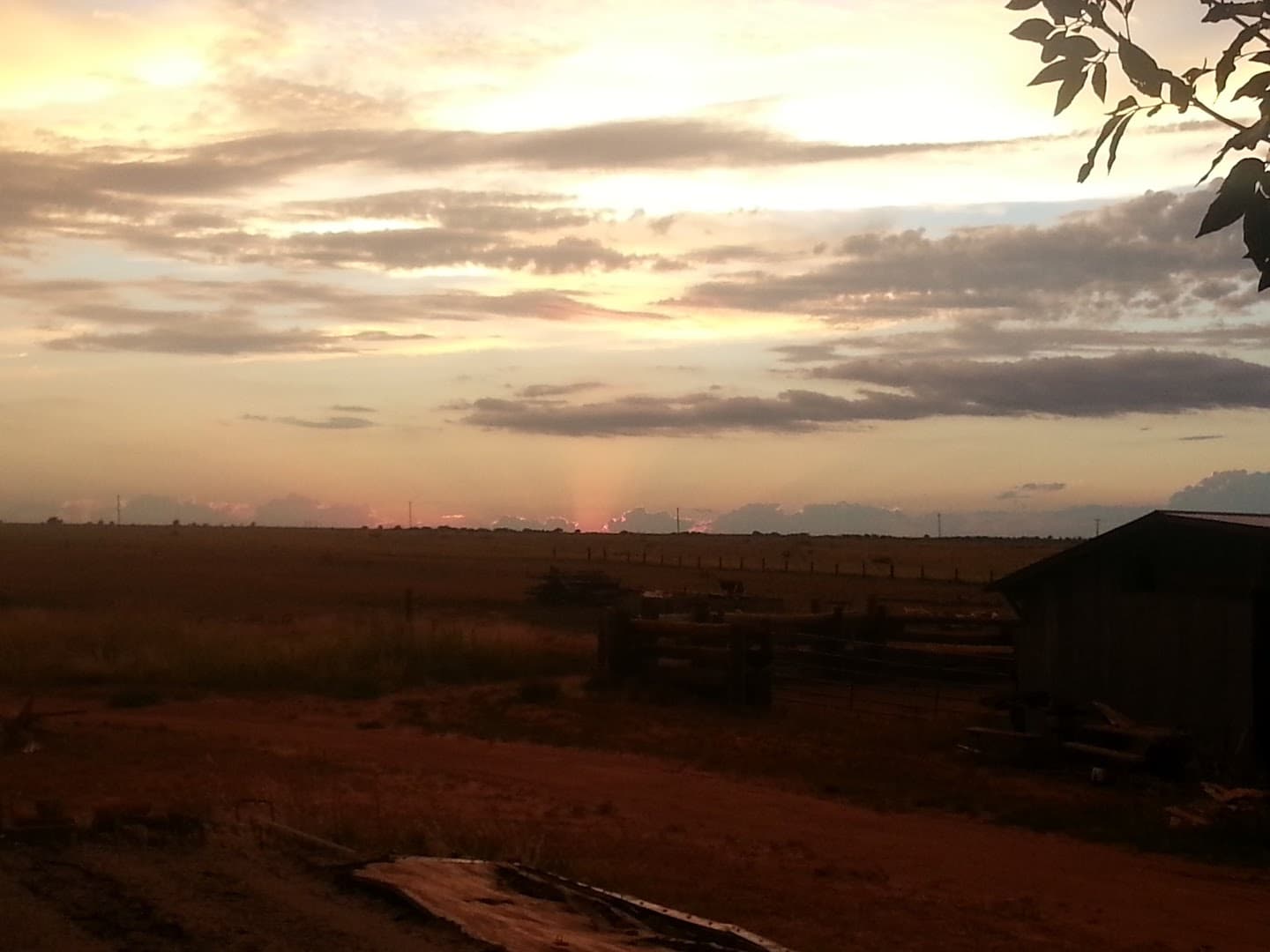 South Plains Gun Club - Image 4