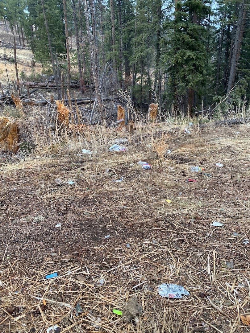 Kelsey Creek NFSR 528.G - Image 6