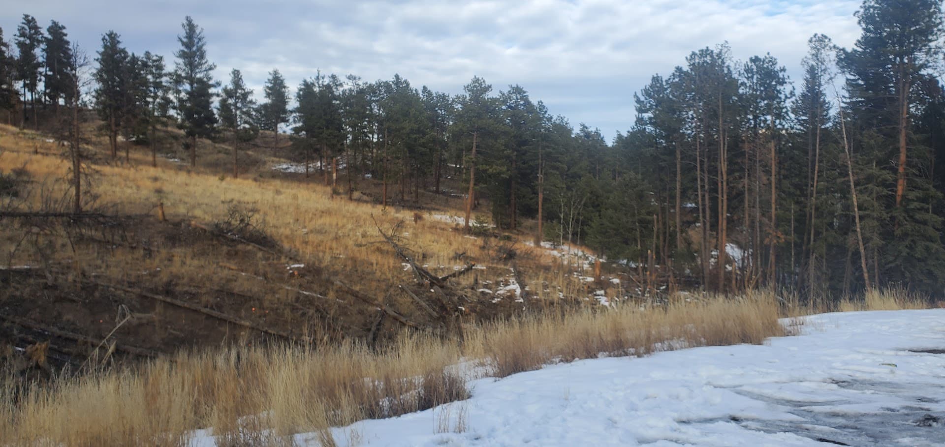 Kelsey Creek NFSR 528.G - Image 7