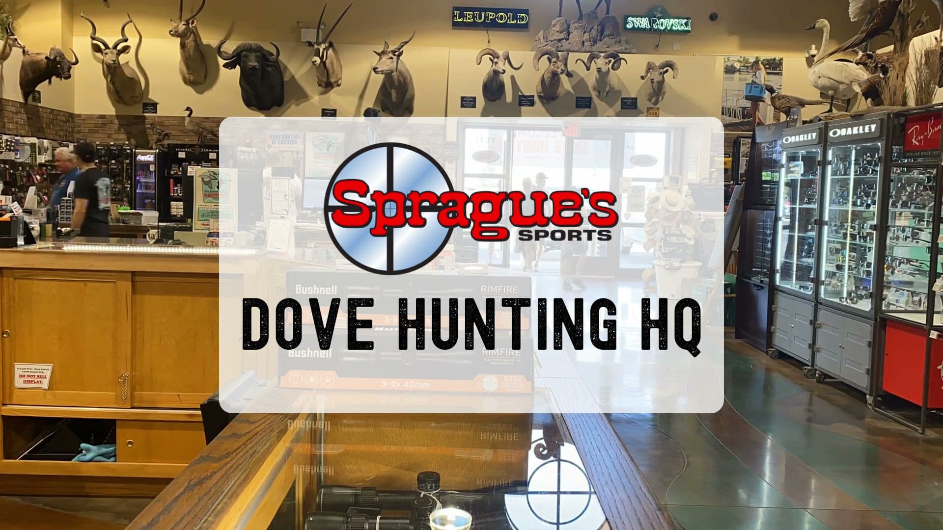 Sprague's Sports - Image 2