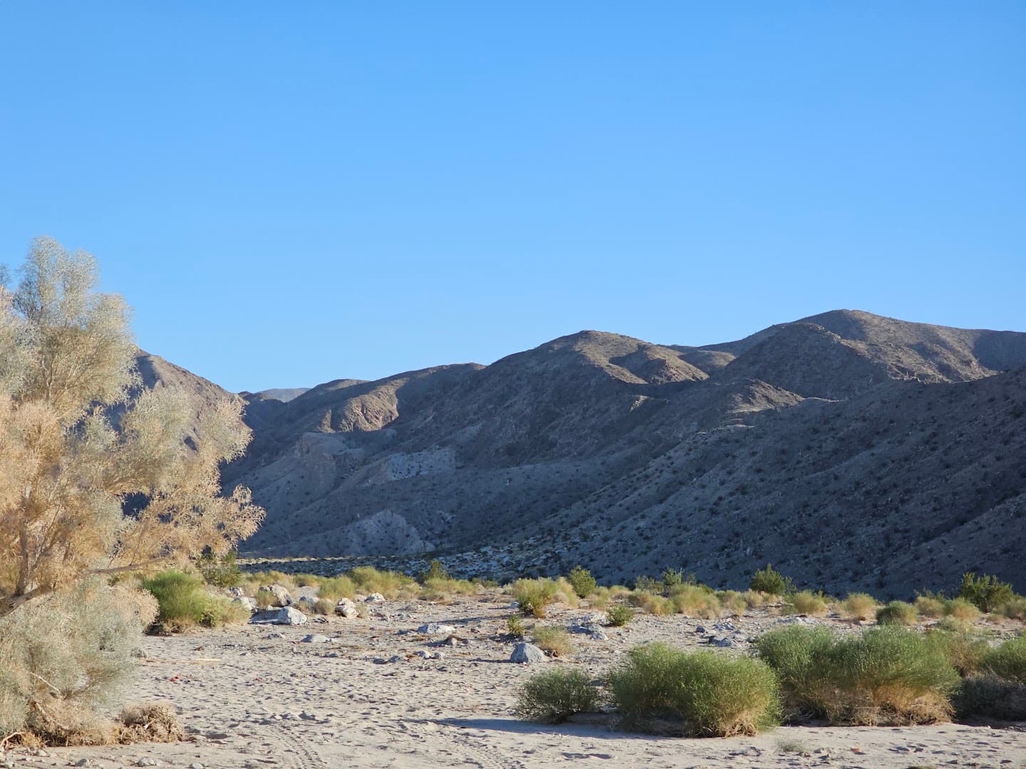 Shoot spot Bureau of Land Management - Image 1