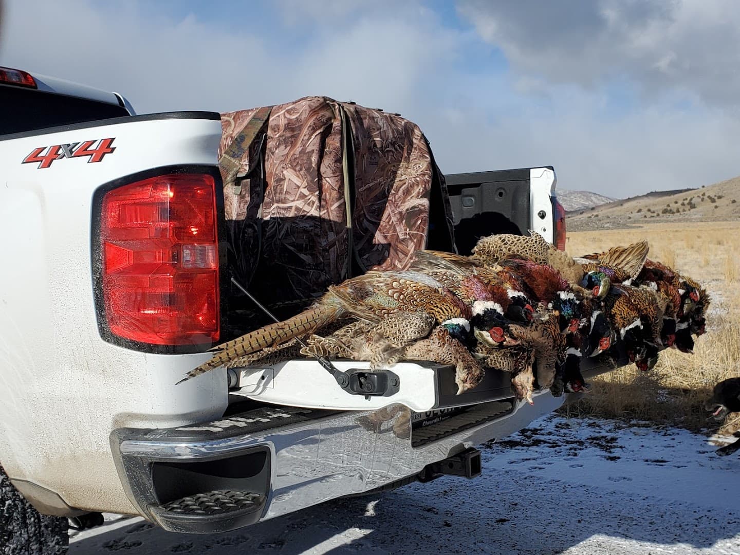 WASATCH WING AND CLAY - Image 3