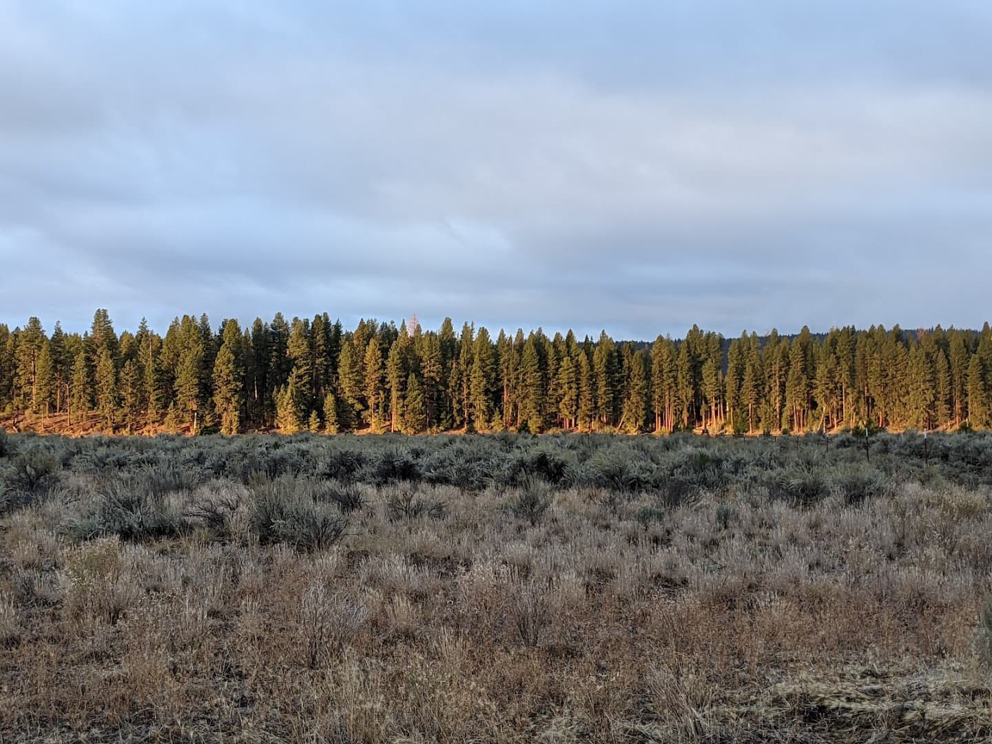 Klamath Sportsmen's Park - Image 7