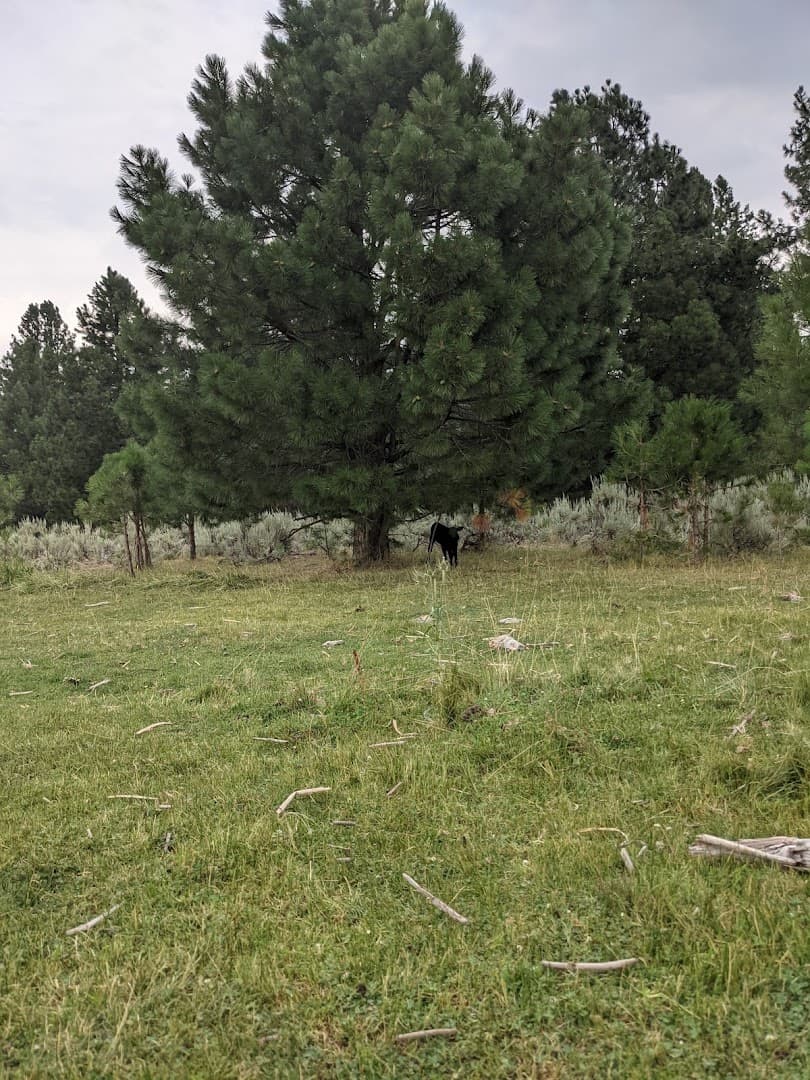 Klamath Sportsmen's Park - Image 10