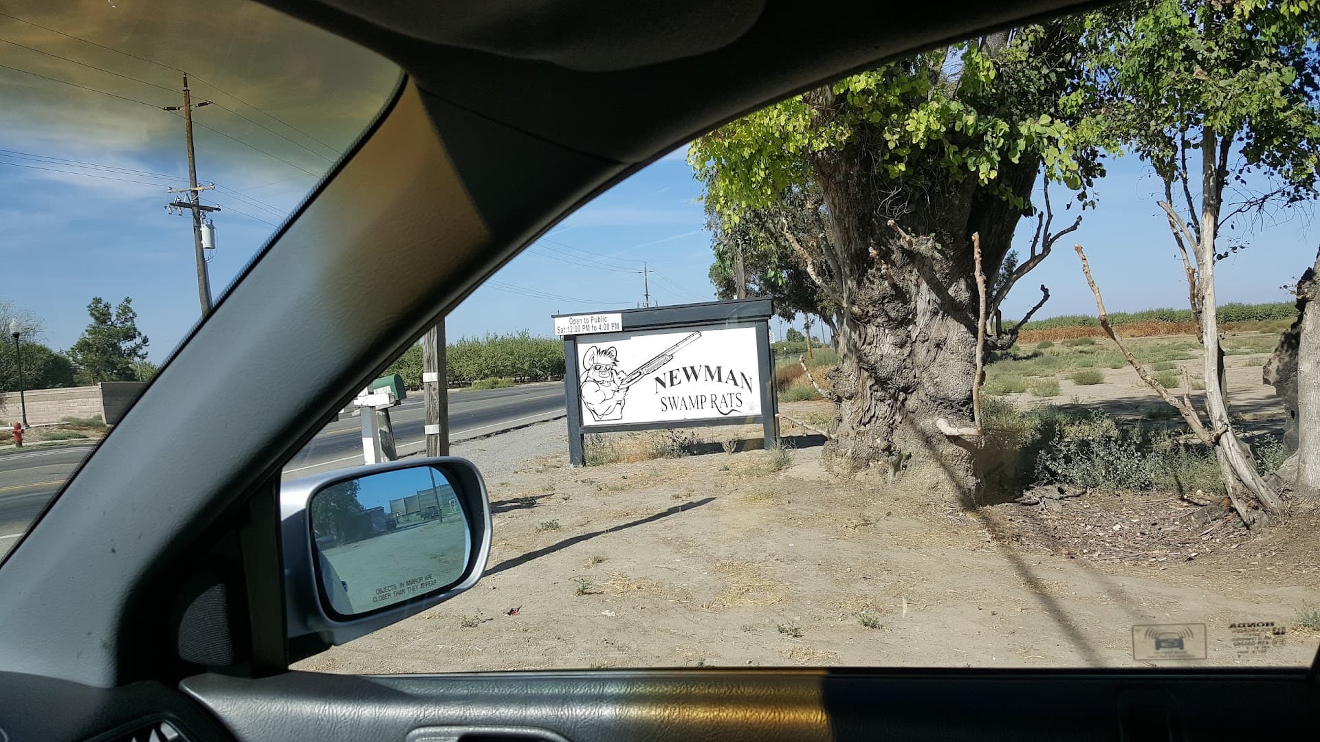 Newman Swamp Rats - Image 8