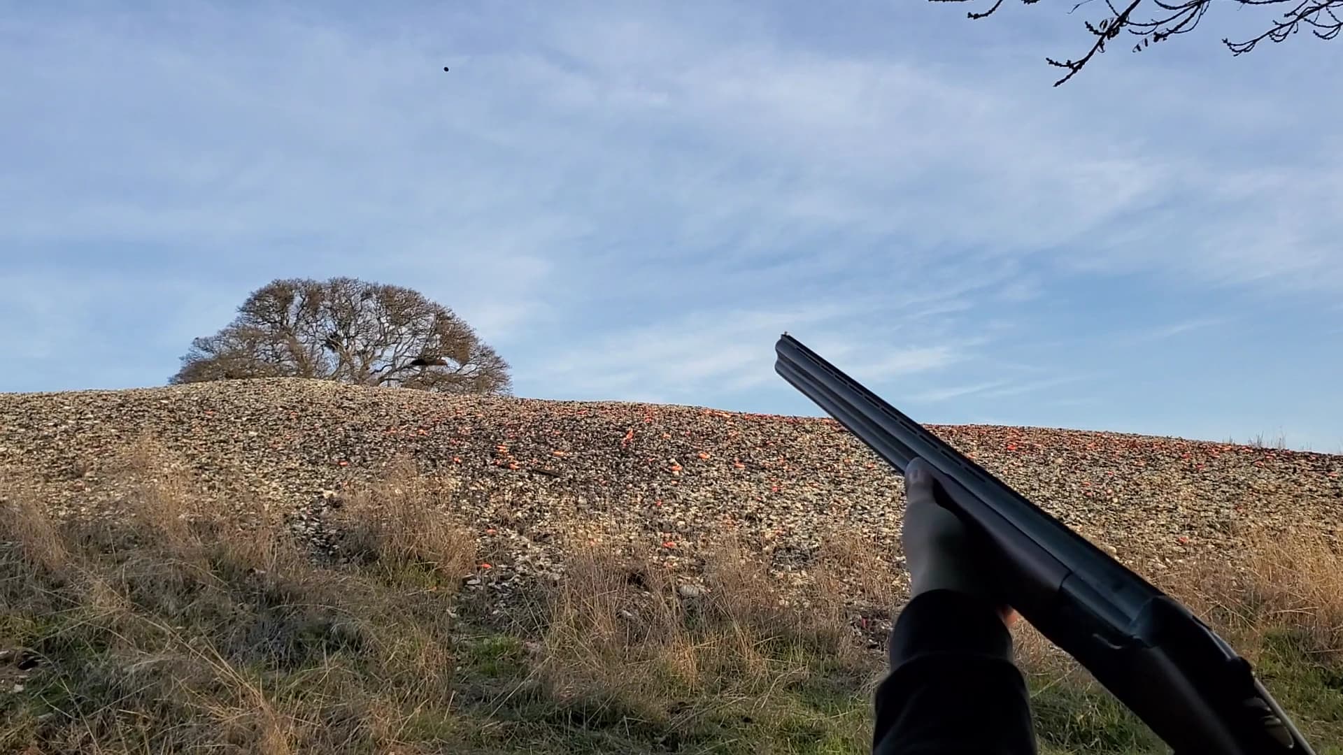 Camanche Hills Hunting Preserve - Image 2