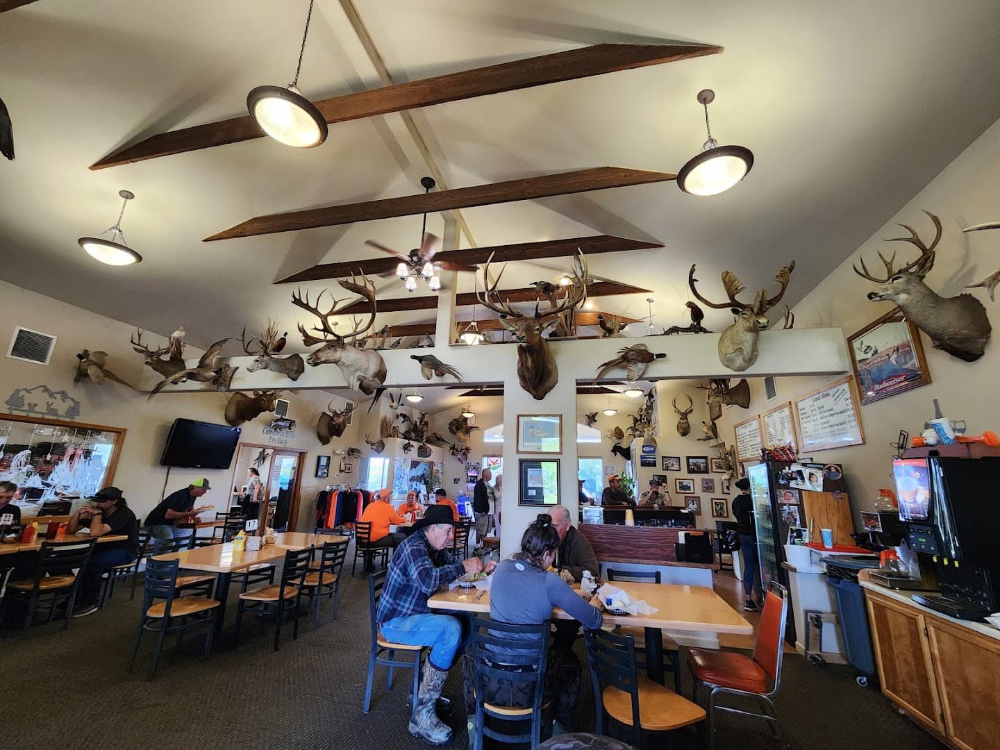 Camanche Hills Hunting Preserve - Image 4