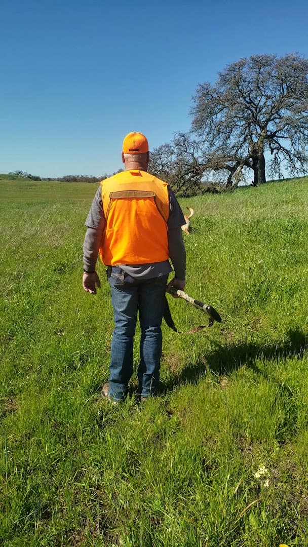 Camanche Hills Hunting Preserve - Image 5