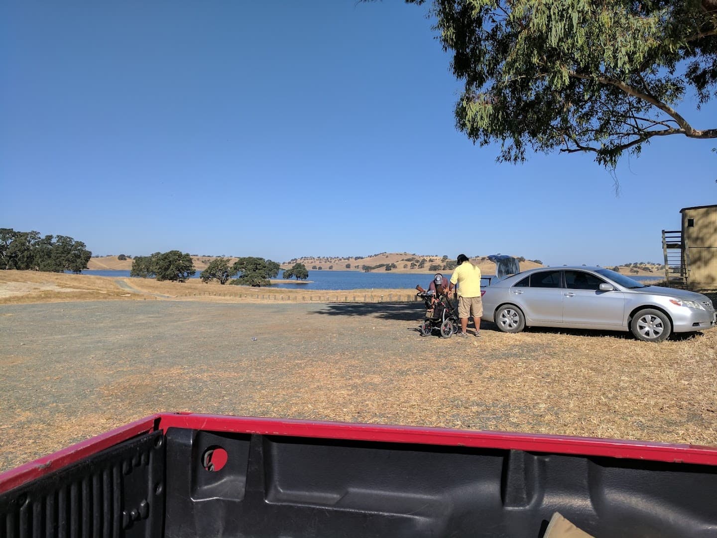 Camanche Hills Hunting Preserve - Image 6
