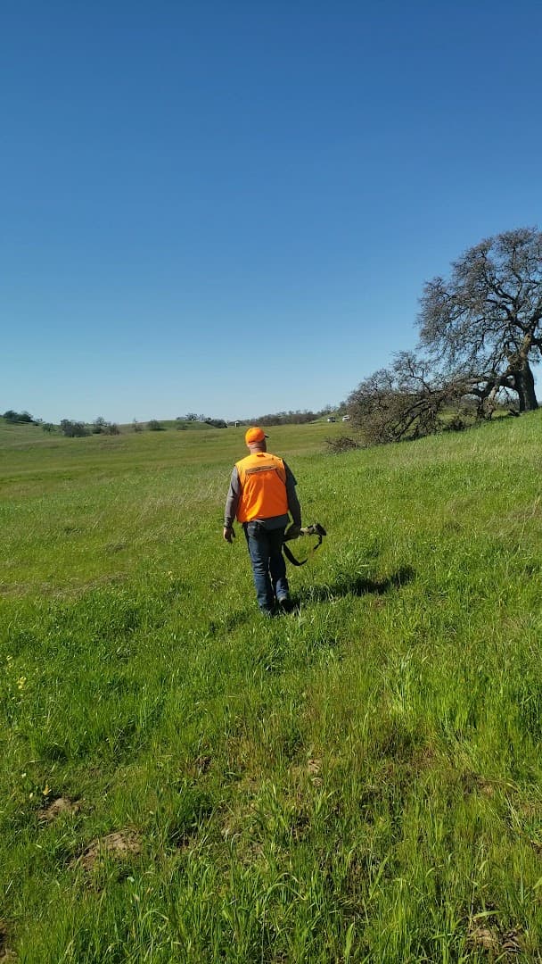 Camanche Hills Hunting Preserve - Image 8