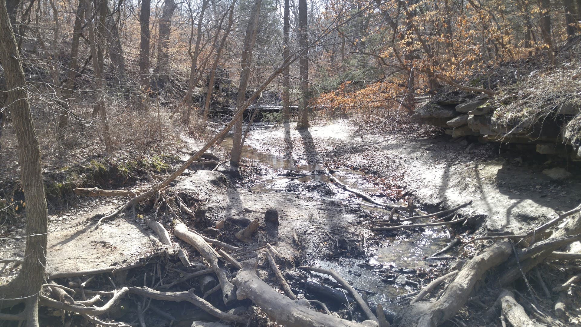 Roger G. Sykes Outdoor Heritage Complex - Image 3