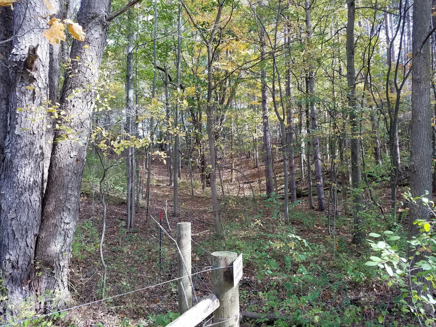 DNR - Shooting Range, Dansville - Image 4