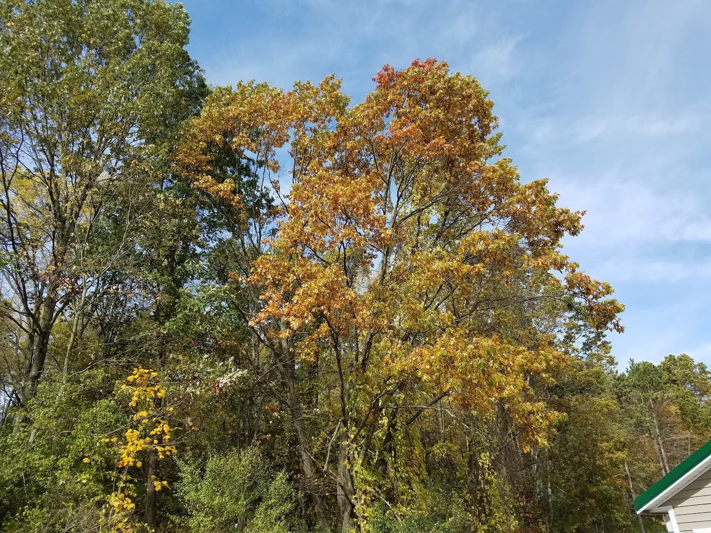 DNR - Shooting Range, Dansville - Image 7