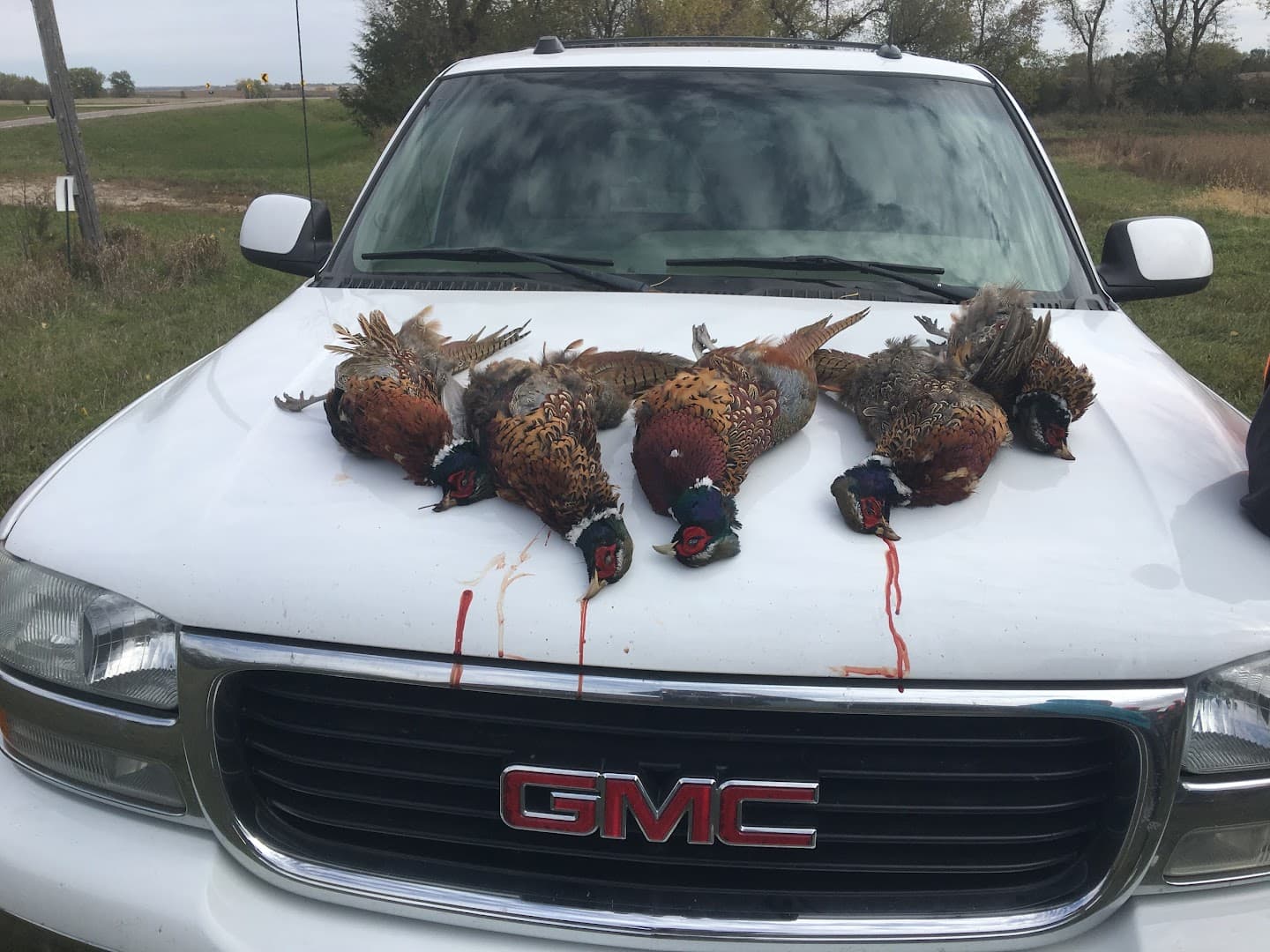 Pheasant Ridge Shooting Perserve - Image 1