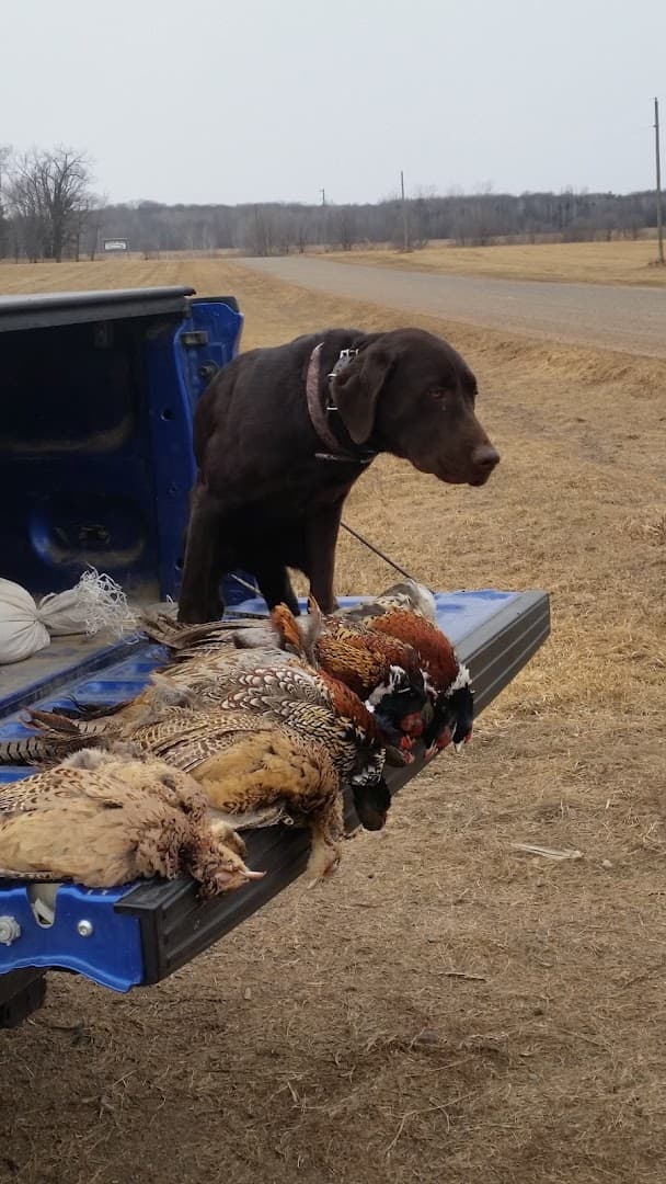 Pheasant Ridge Shooting Perserve - Image 10