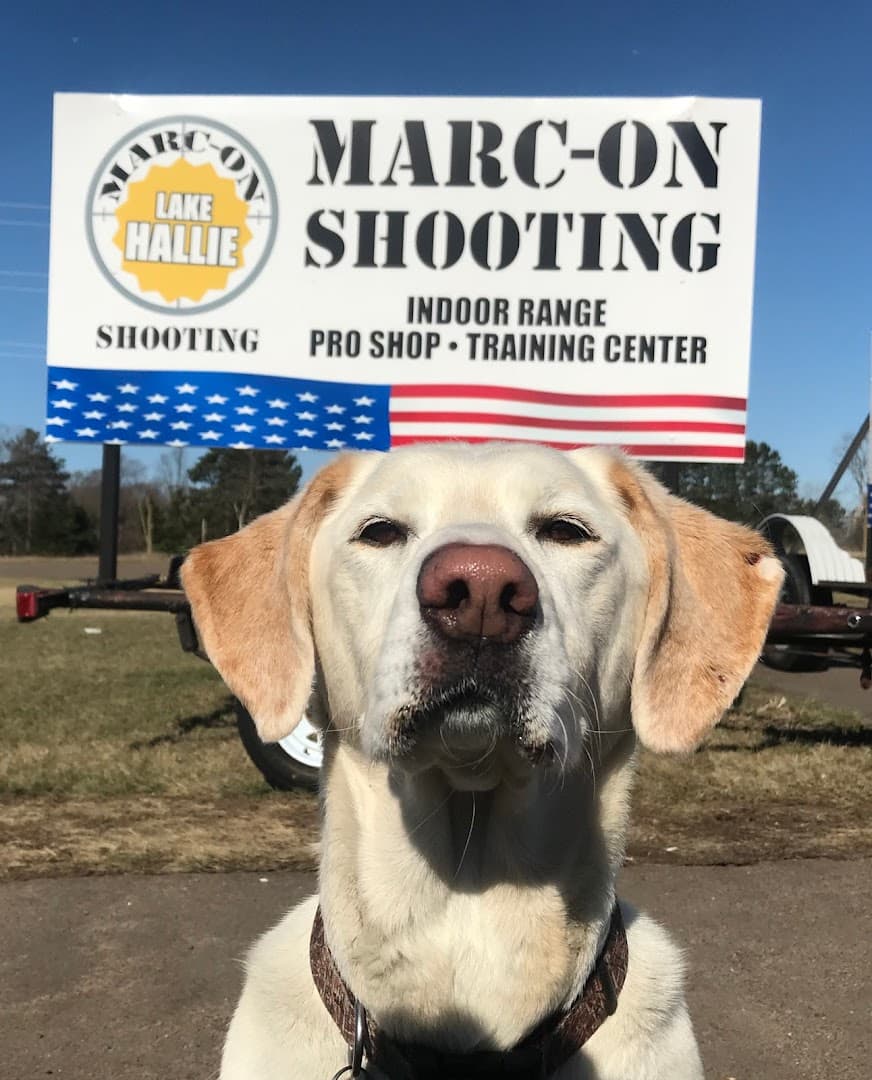 Marc-On Shooting - Image 10