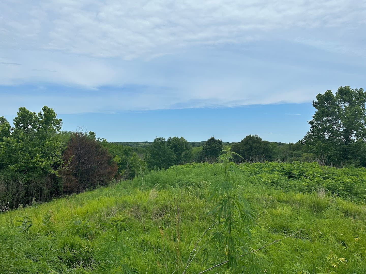 Riverbreaks Conservation Area Shooting Range - Image 1