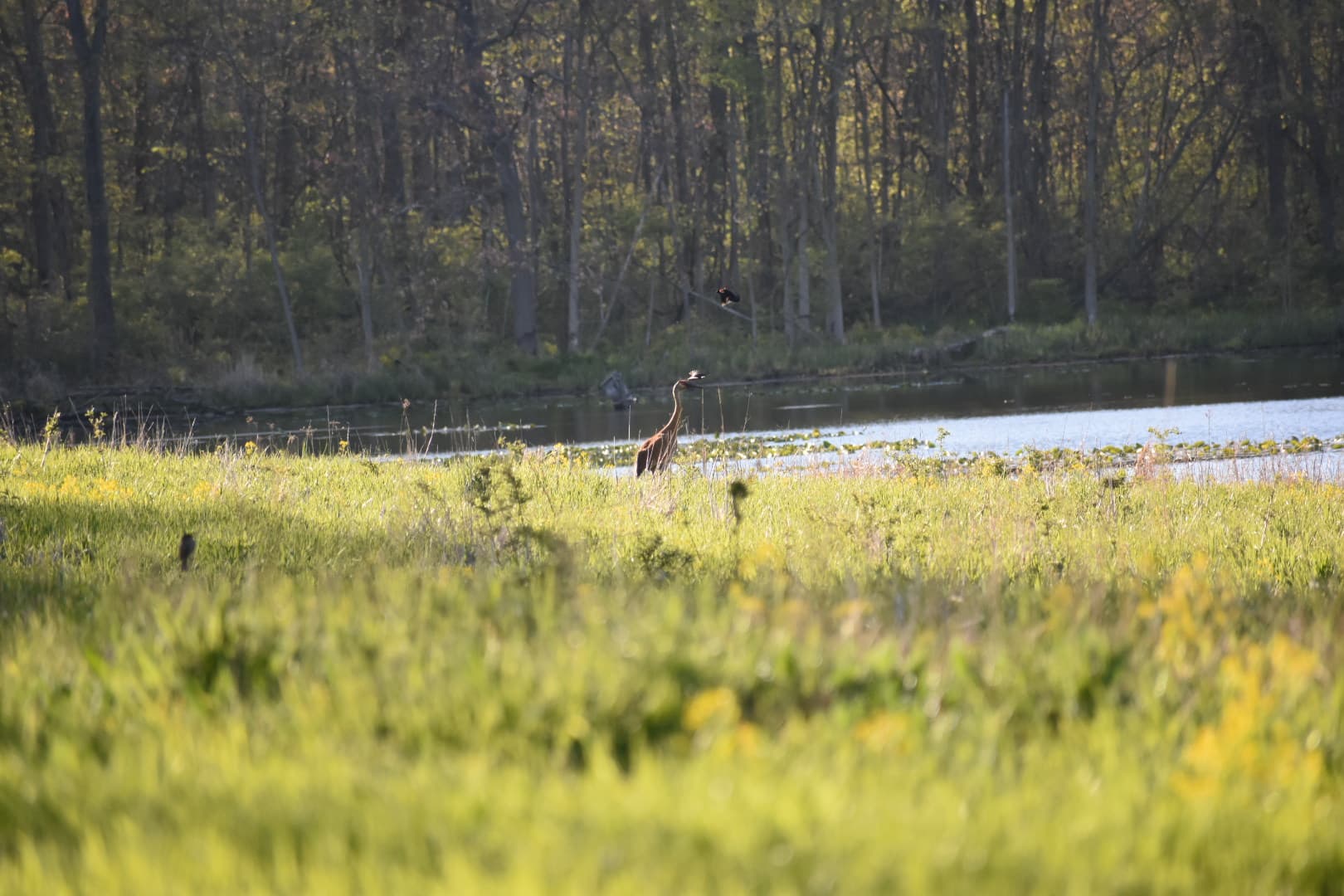 Tri County Fish & Wildlife Area Shooting Range - Image 2